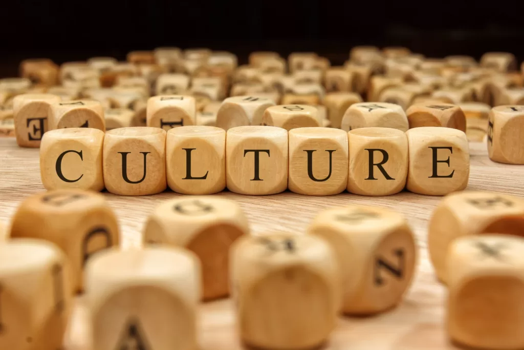 culture cubes