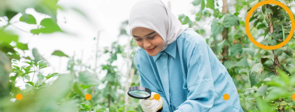 A researcher in a field